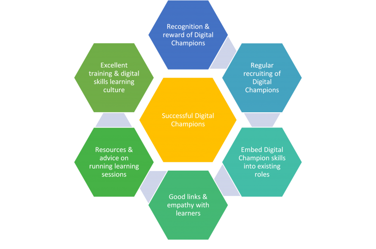 How to sustain a Digital Champion project – One Digital